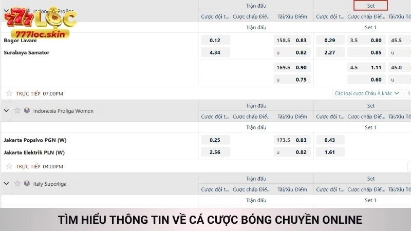 Tìm hiểu thông tin về cá cược bóng chuyền online