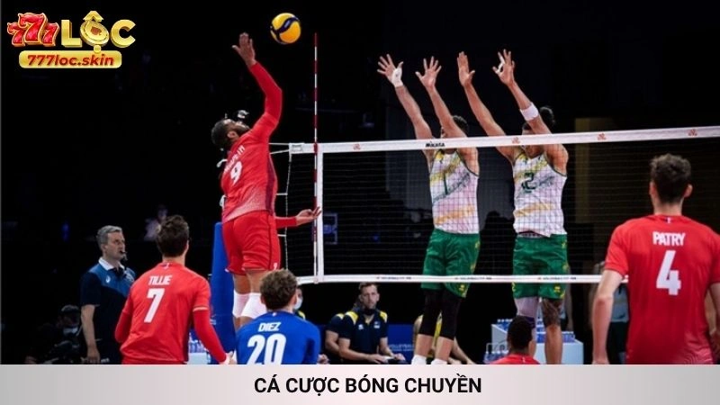 Cá Cược Bóng Chuyền