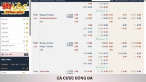 Cá Cược Bóng Đá
