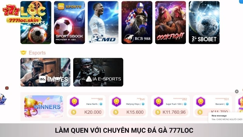 Làm quen với chuyên mục Đá gà 777loc