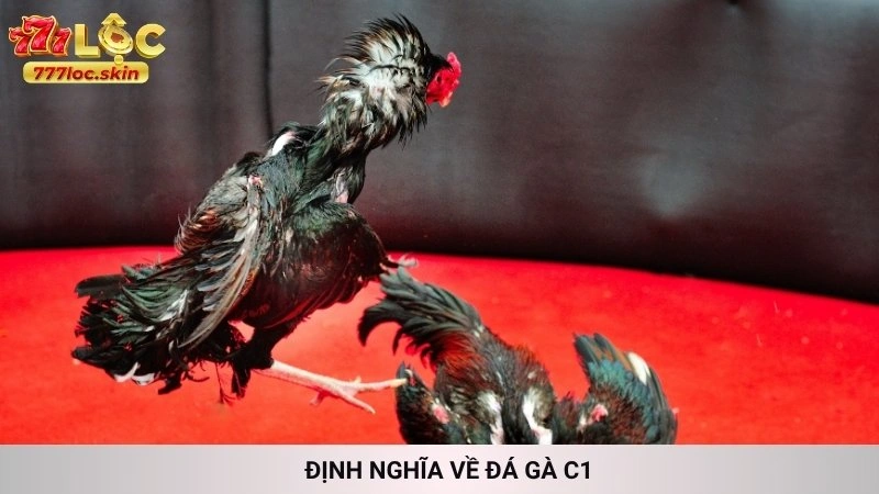 Đá gà C1 777loc - Trực tiếp những trận kinh điển mới nhất 2 Định nghĩa về Đá gà C1