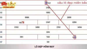 Lô Đẹp Hôm Nay